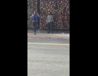 Grey flannel shirt guy tree log wall 