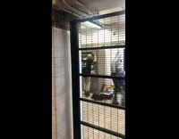 Guy Shaves Head with Ticket Machine Mirror 