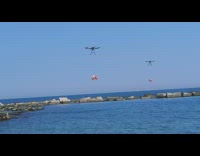 2 pigs fly with drones 