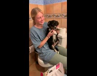 Girl sits toilet with black brown puppy 