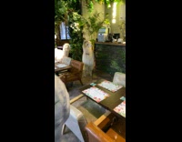 Collab KaleSaladIG - Alpaca Cafe 1