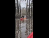 Guy in red canoe misty lake flips