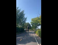 Guy rides giraffe unicycle at bike lane