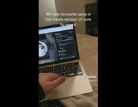 Cat Walks Toward Man as He Plays Song