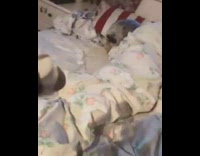 Girl plays recorder dog hides behind blanket 