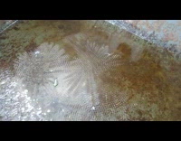 Wheelbarrow hit and makes the dirty water vibrates