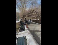 Guy cuts hair at central park 