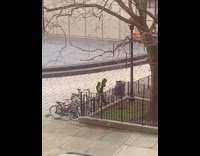 City worker cleaning park singing part 1