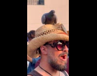 Guy wears hat with pigeon on top