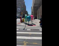 Collab WINY - Three people wear candy costume on street