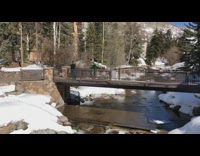 Green sweater bridge pose