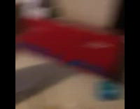 Orange Cat Brings Back Dead Mouse on Bed 