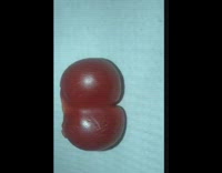 Guy looks at butt shaped tomato 