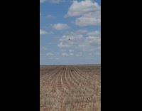 White plane flies low over field 