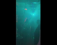 People dance at the club at night and drink beers 