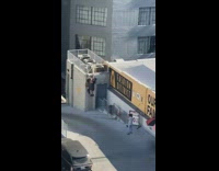 Two girls hang off ladder for photo 