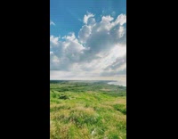 Grass fields and ocean man deep voice talk