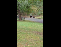 Man practicing nunchucks at park