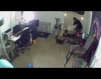 Guy feeds friends cat and gets attacked