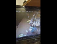Security camera guy climbs ladder fail cafe