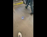 Discarded blue womens underwear on subway floor 
