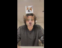 Guy corgi dog filter on face 