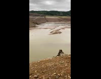 White object rolls down into water 