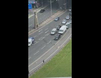 Line of ducks holding up highway traffic 