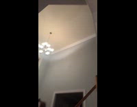 Man catches trapped bird inside the house