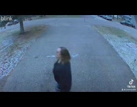 Girl asks to help with dog running away 