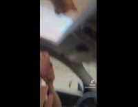 Orange cat sitting on top of sunroof falls down as it opens