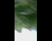 Dad kicks ball hits phone fail kid 