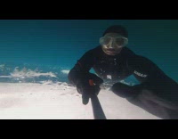 Bird feathers stuck under frozen water diver