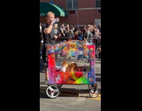 Dog inside make shift claw machine 