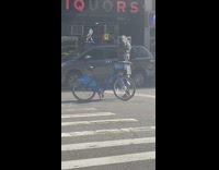 Person with white mask and wig on blue citi bike