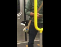 Cat sits in bag on train 