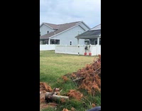 Kids laughing at jumping neighbors dog 