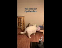 White Cat Bites Green Stuffed Toy 