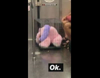 Woman puts pink purple bear inside pet cage on subway train