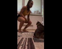 Collab PLC - Cat playing dead trick