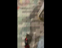 Guy rollerblades throws eel back in river