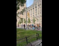 Group of skaters roll down the street