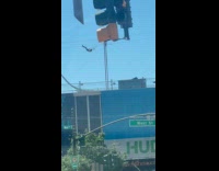 Random person spotted swings at power line