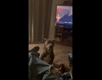 Guy pretend to throw dog ears go backward