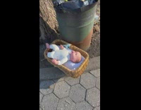 Baby doll on basket left beside trash barrel