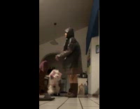 Collab Clips MPUGC - Woman does outfit raincoat check with dog 