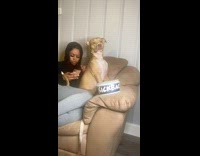 Lady Tells Dog to Get Down on Couch 