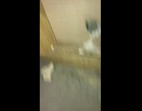 BitchMP - Black hamster stuck inside of wall