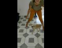 Woman with one arm petting dog with missing arm