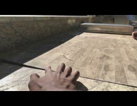 Man touches lizard crawls away slow motion